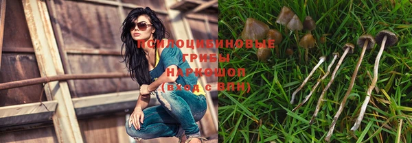 гидропоника Верхний Тагил
