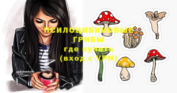 твердый Володарск