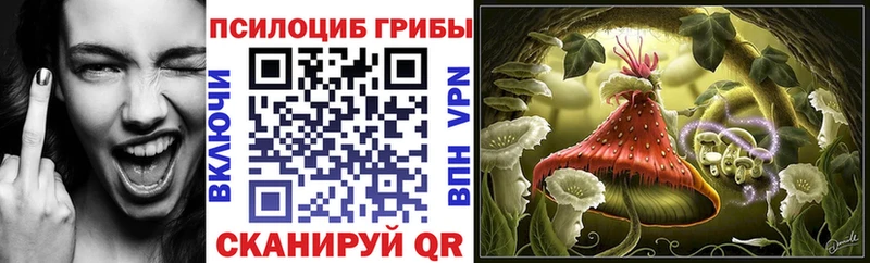 Купить  Орлов  Галлюциногенные грибы Psilocybine cubensis 